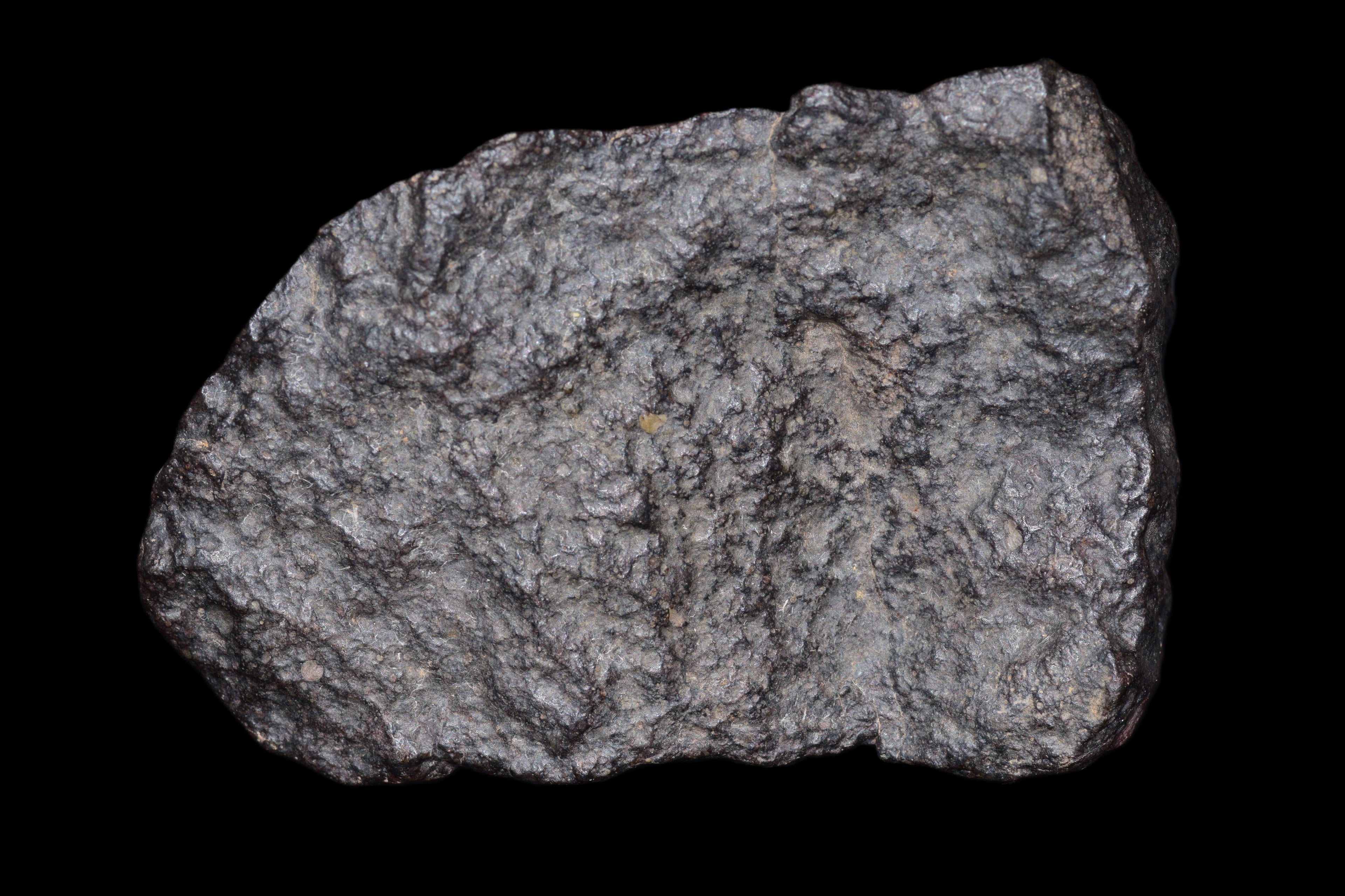 NWA 14003&nbsp; H4 Ordinary Chondrite Meteorite