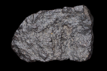 NWA 14003 H4 ordinary chondrite meteorite weighing 108.2 grams, shown with its textured, dark exterior and mineral details.