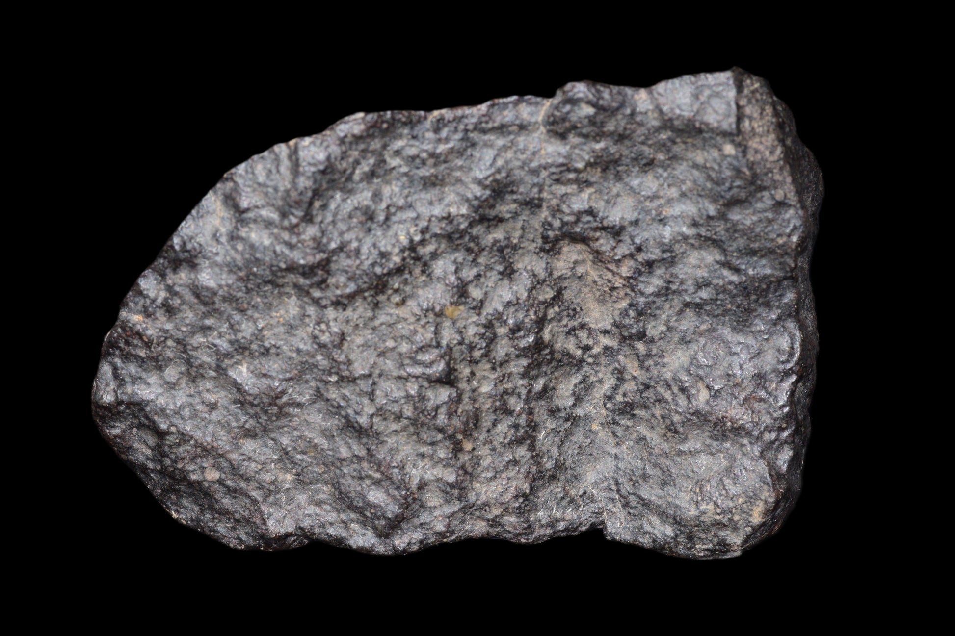 NWA 14003 H4 meteorite from Buy Meteorite, LLC, showing a dark, crusted surface of this 108.2 g ordinary chondrite meteorite.