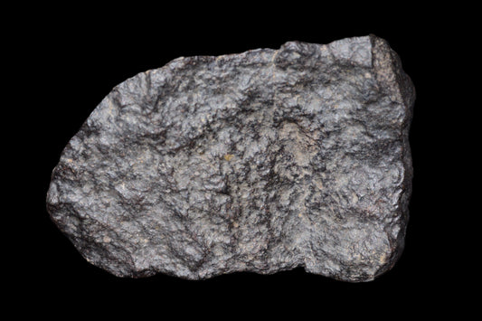NWA 14003 H4 meteorite from Buy Meteorite, LLC, showing a dark, crusted surface of this 108.2 g ordinary chondrite meteorite.