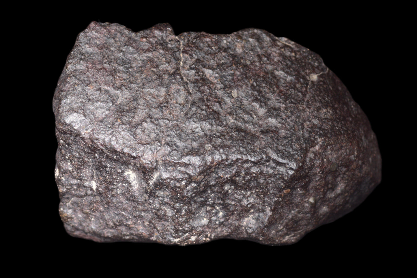 NWA 14003 H4 meteorite from Buy Meteorite, LLC, showing a dark, irregular chondrite with detailed surface textures.