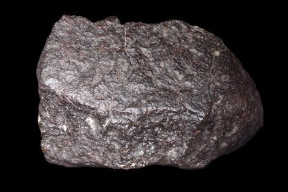 NWA 14003 H4 meteorite from Buy Meteorite, LLC, showing a dark, irregular chondrite with detailed surface textures.