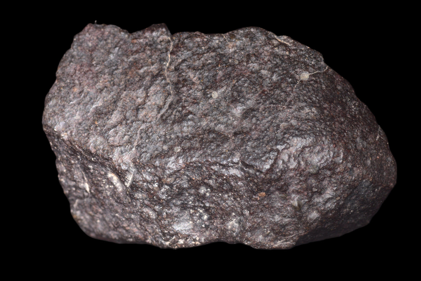NWA 14003 H4 meteorite from Buy Meteorite, LLC, showing a dark, rocky surface with a rough, irregular texture.
