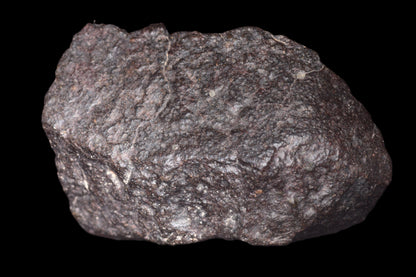 NWA 14003 H4 meteorite from Buy Meteorite, LLC, showing a dark, rocky surface with a rough, irregular texture.