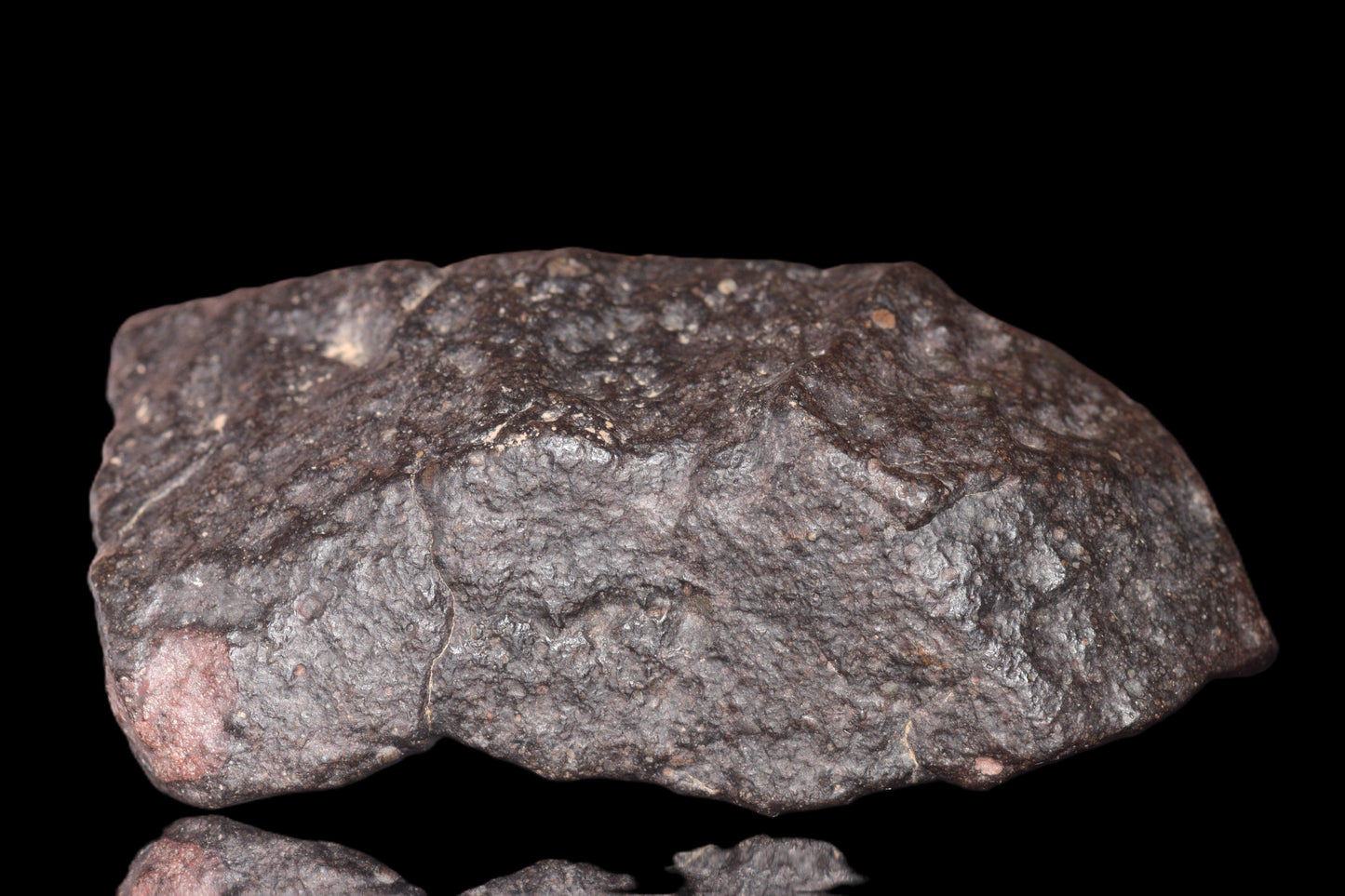 NWA 14003 H4 meteorite from Buy Meteorite, LLC, showing a dark, irregular surface with mineral grain details.