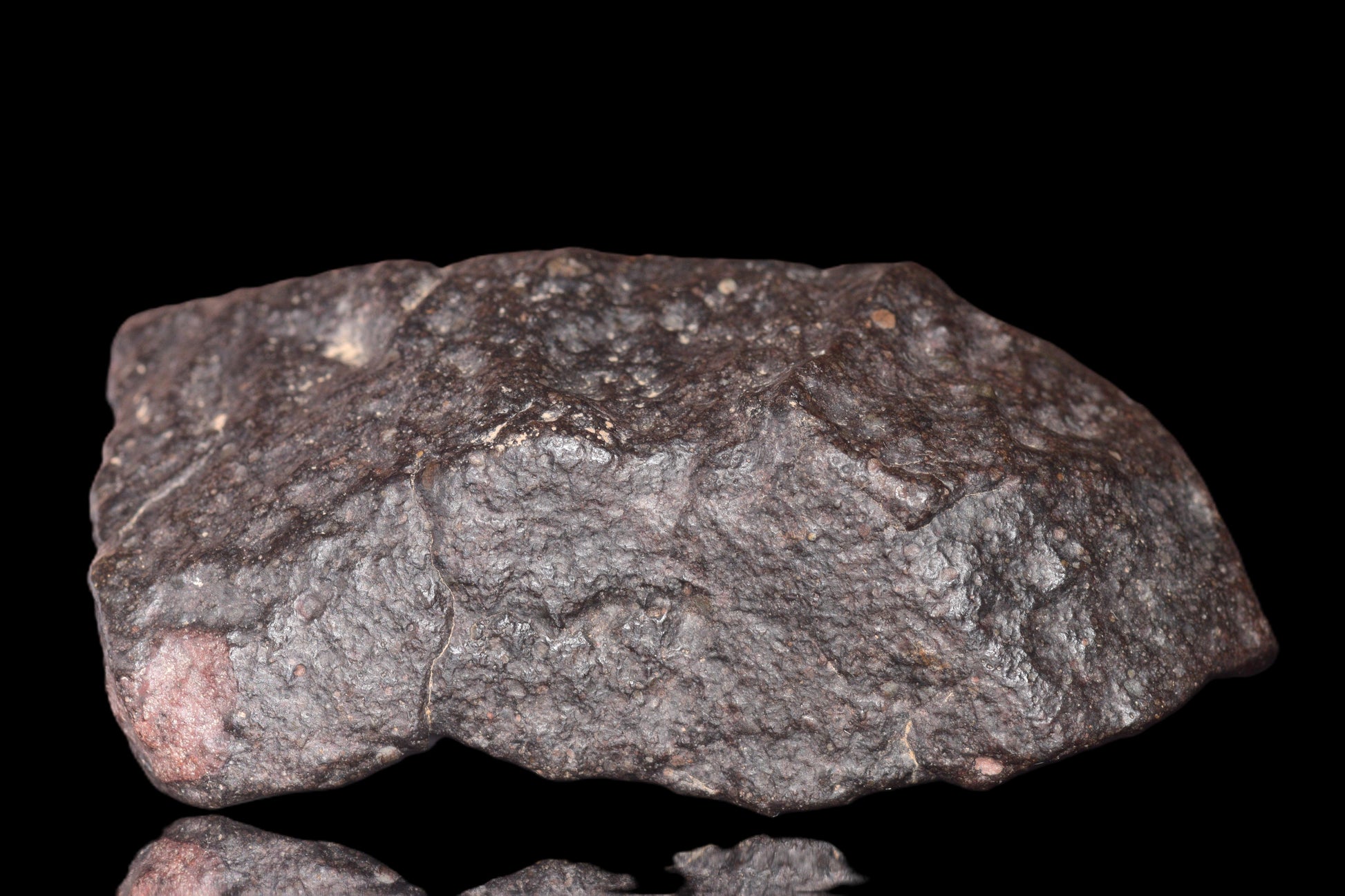 NWA 14003 H4 meteorite from Buy Meteorite, LLC, showing a dark, irregular surface with mineral grain details.