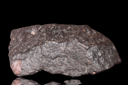 NWA 14003 H4 meteorite from Buy Meteorite, LLC, showing a dark, irregular surface with mineral grain details.