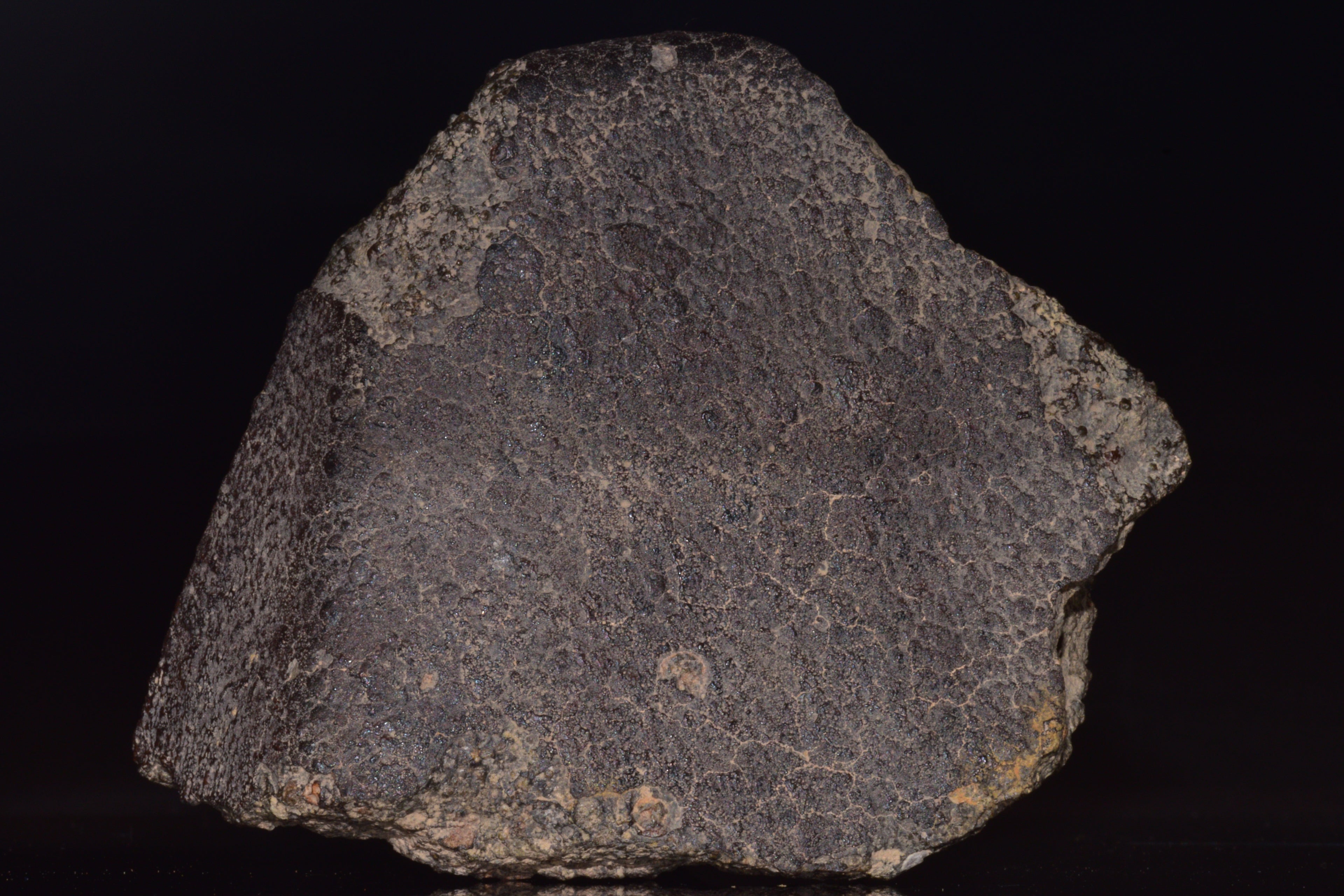 NWA 14004 – CV3 Carbonaceous Chondrite Fragment&nbsp;