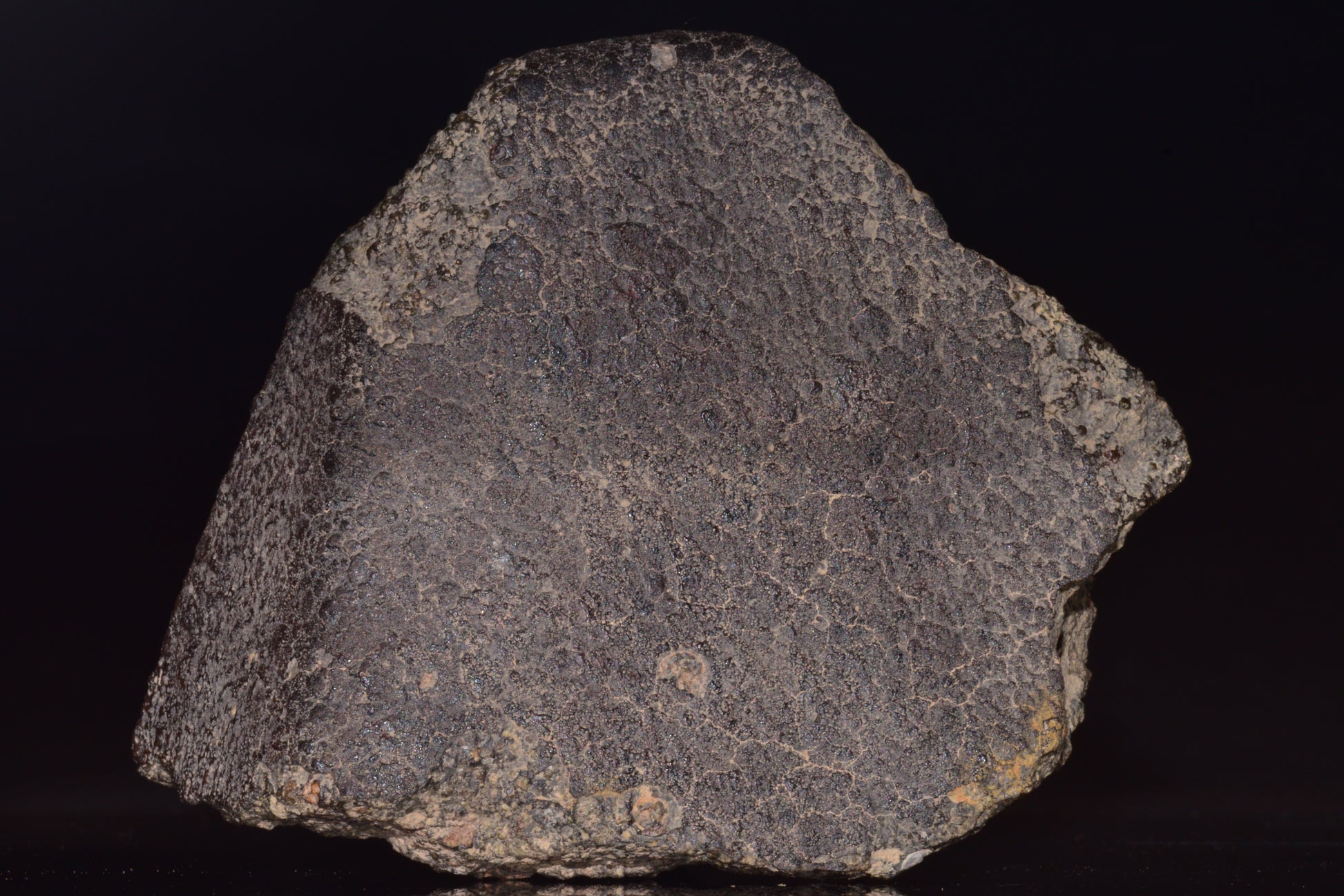 NWA 14004 – CV3 Carbonaceous Chondrite Fragment&nbsp;