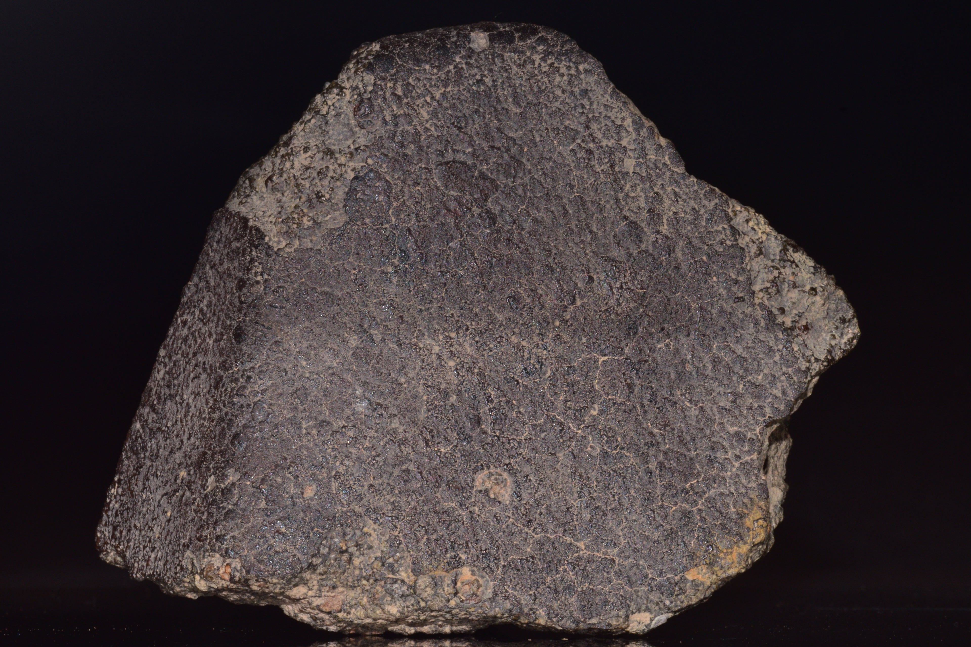 NWA 14004 – CV3 Carbonaceous Chondrite Fragment&nbsp;