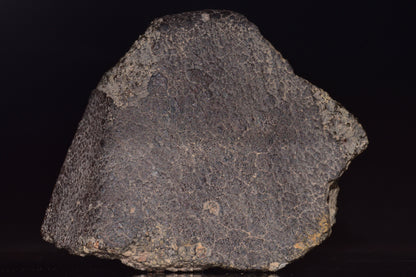 NWA 14004 – CV3 Carbonaceous Chondrite Fragment&nbsp;