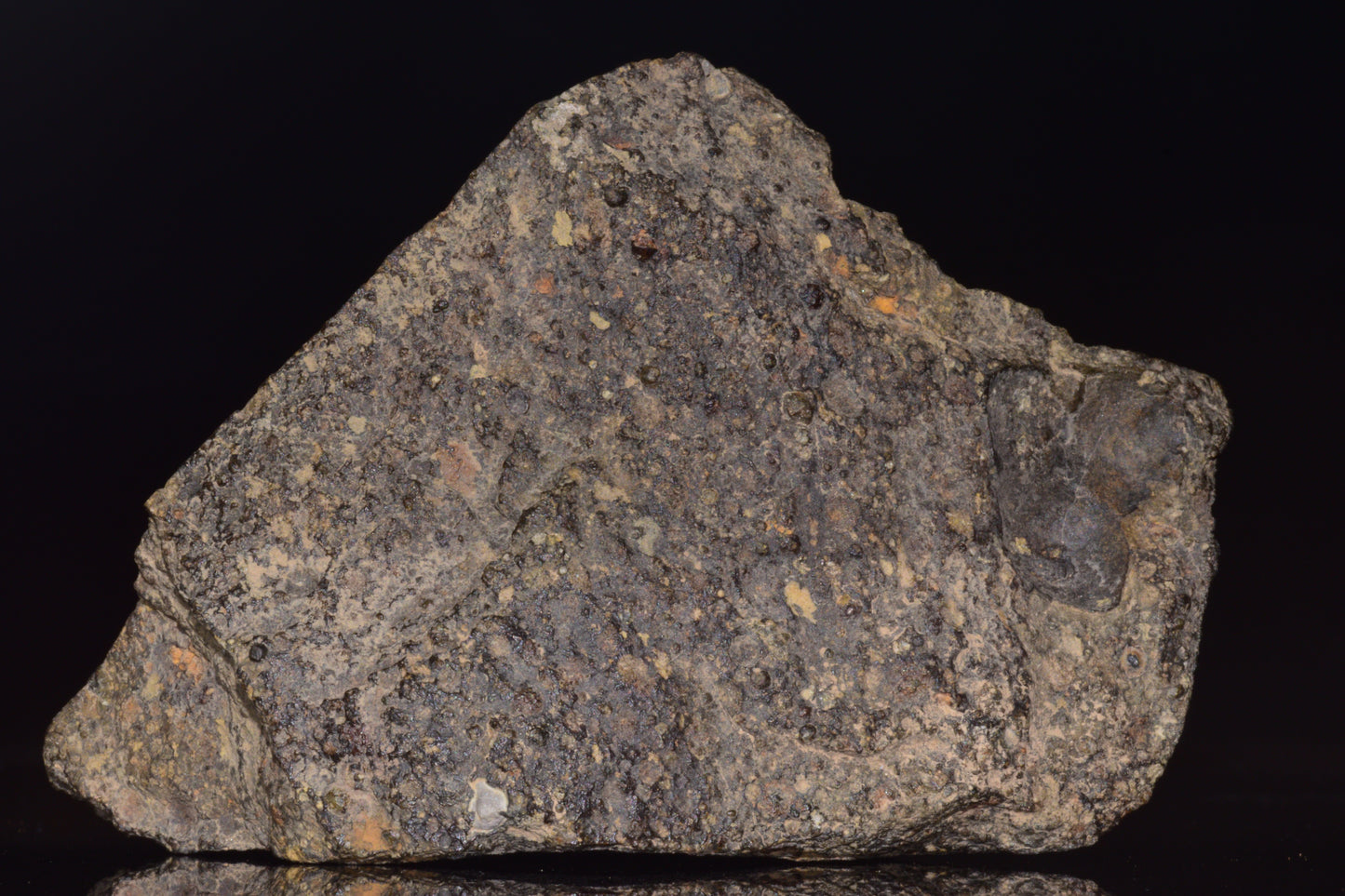 NWA 14004 – CV3 Carbonaceous Chondrite Fragment&nbsp;