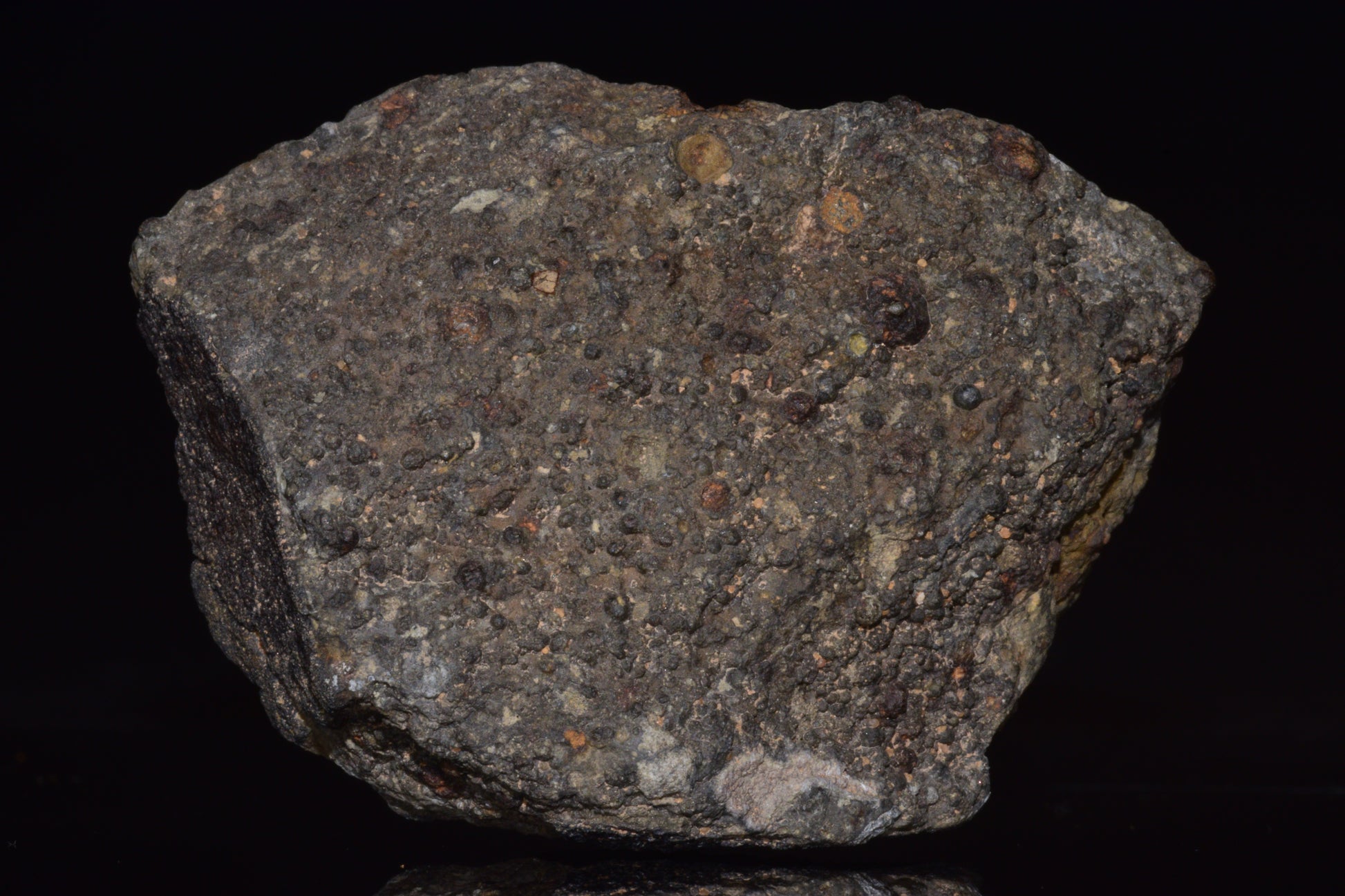 NWA 14004 – CV3 Carbonaceous Chondrite Fragment&nbsp;