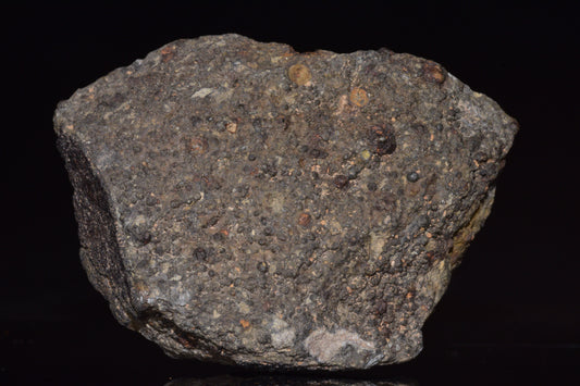 Fragment of NWA 14004 CV3 carbonaceous chondrite meteorite showing dark matrix with mineral inclusions.