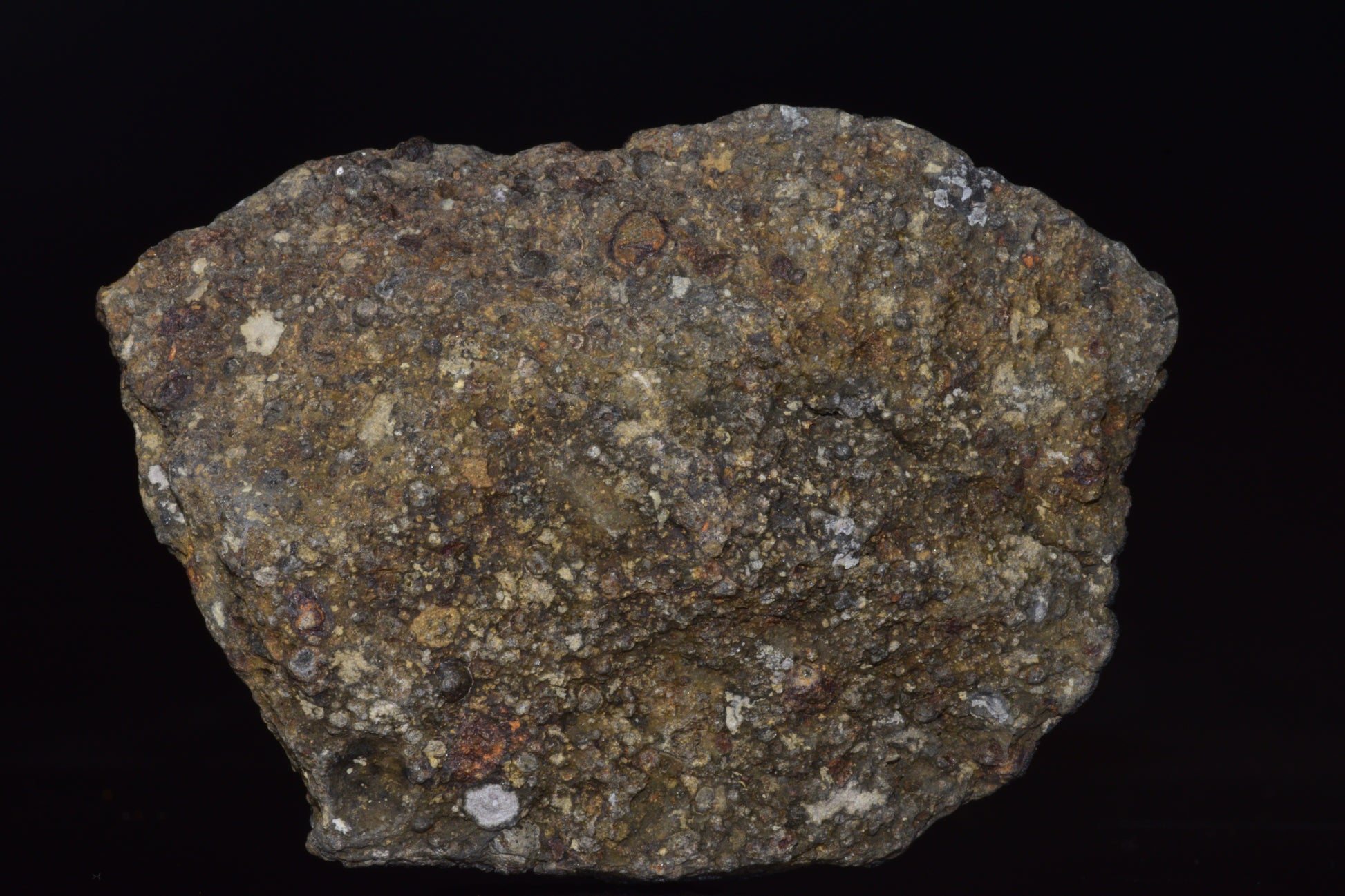 NWA 14004 – CV3 Carbonaceous Chondrite Fragment&nbsp;