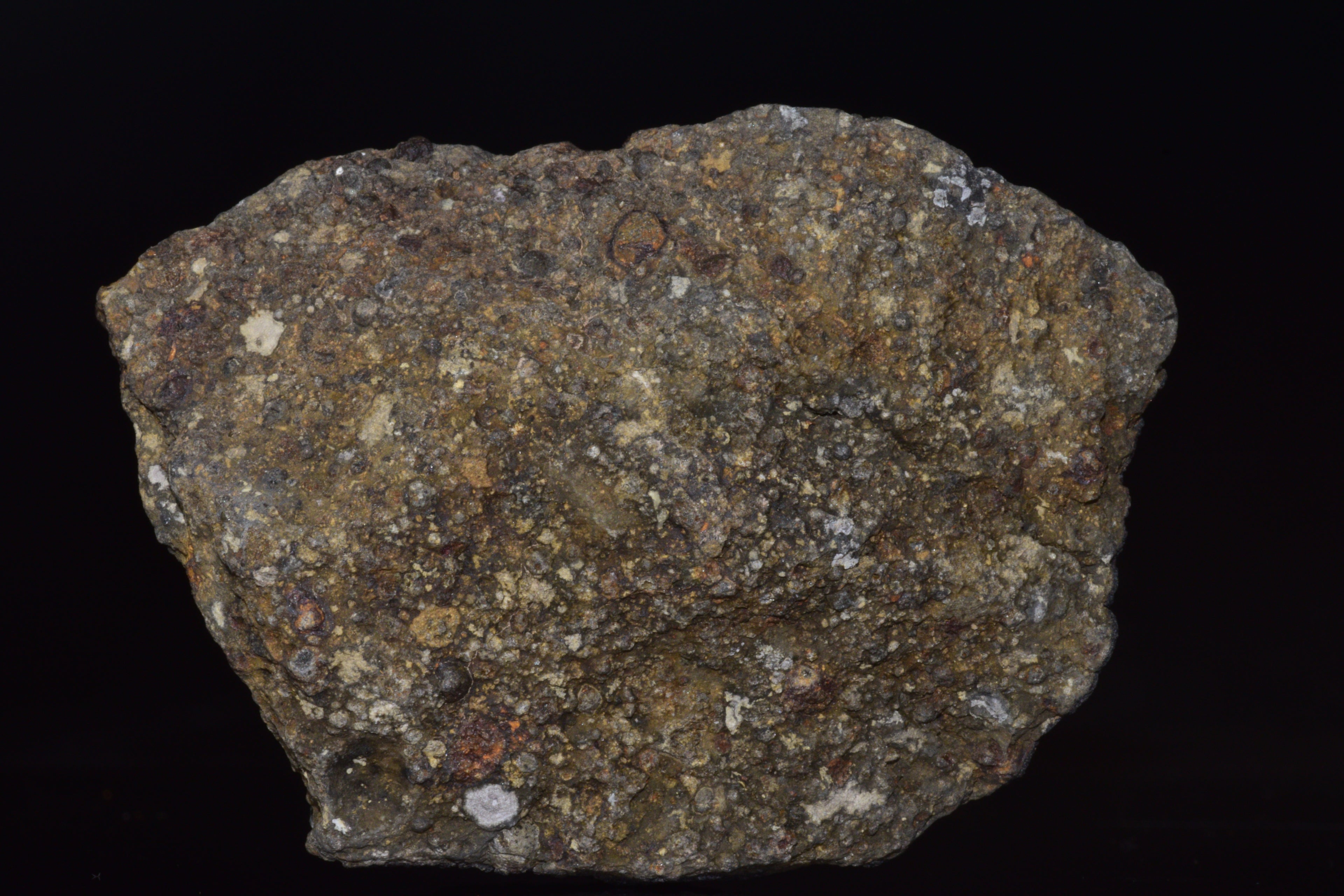 NWA 14004 – CV3 Carbonaceous Chondrite Fragment&nbsp;