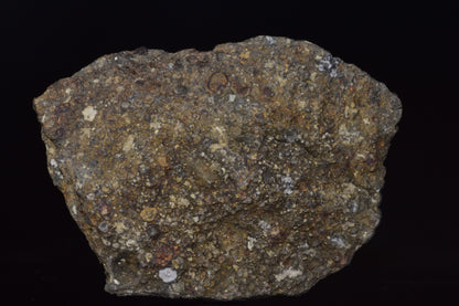 NWA 14004 – CV3 Carbonaceous Chondrite Fragment&nbsp;