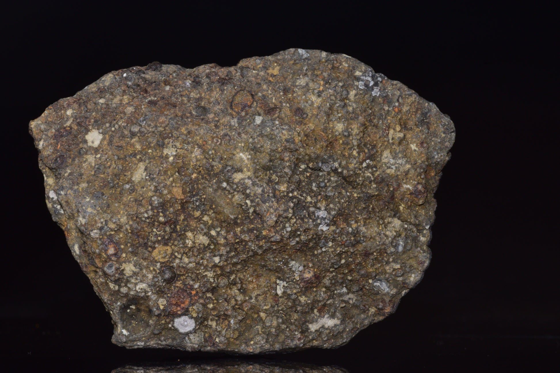 NWA 14004 – CV3 Carbonaceous Chondrite Fragment&nbsp;