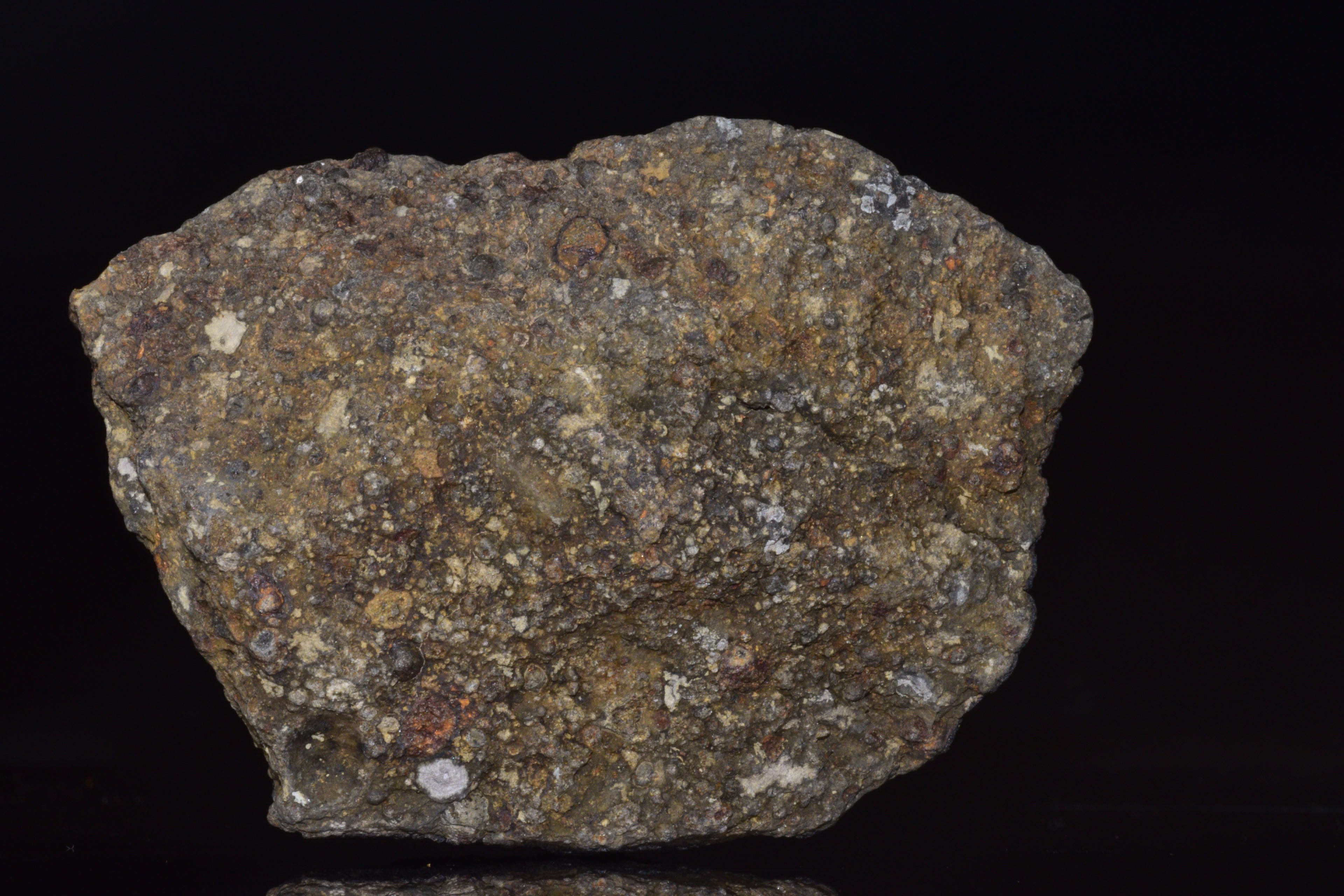 NWA 14004 – CV3 Carbonaceous Chondrite Fragment&nbsp;