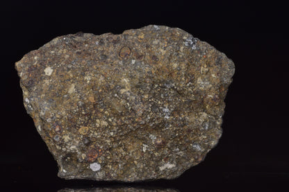 NWA 14004 – CV3 Carbonaceous Chondrite Fragment&nbsp;