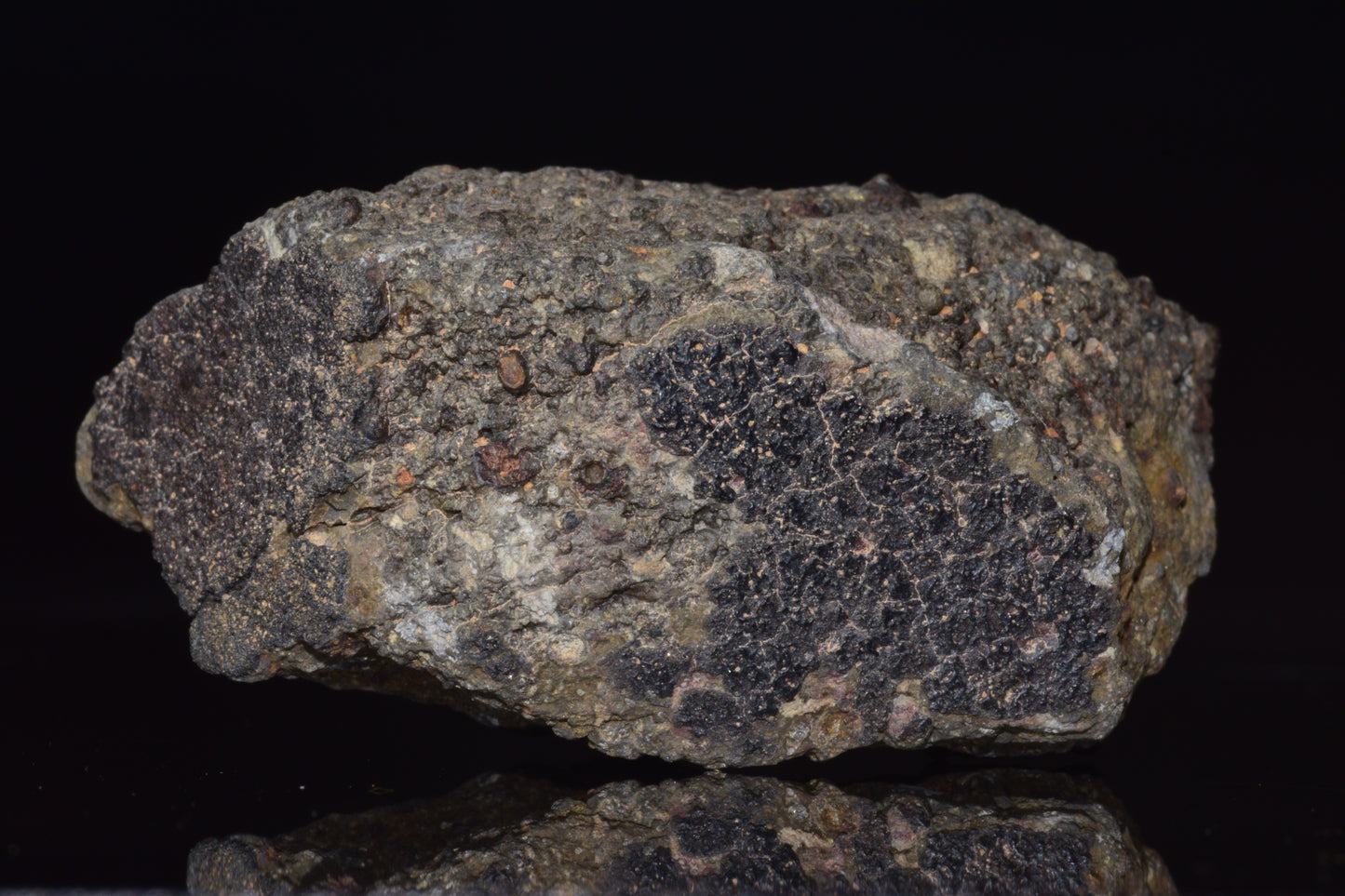 NWA 14004 – CV3 Carbonaceous Chondrite Fragment&nbsp;