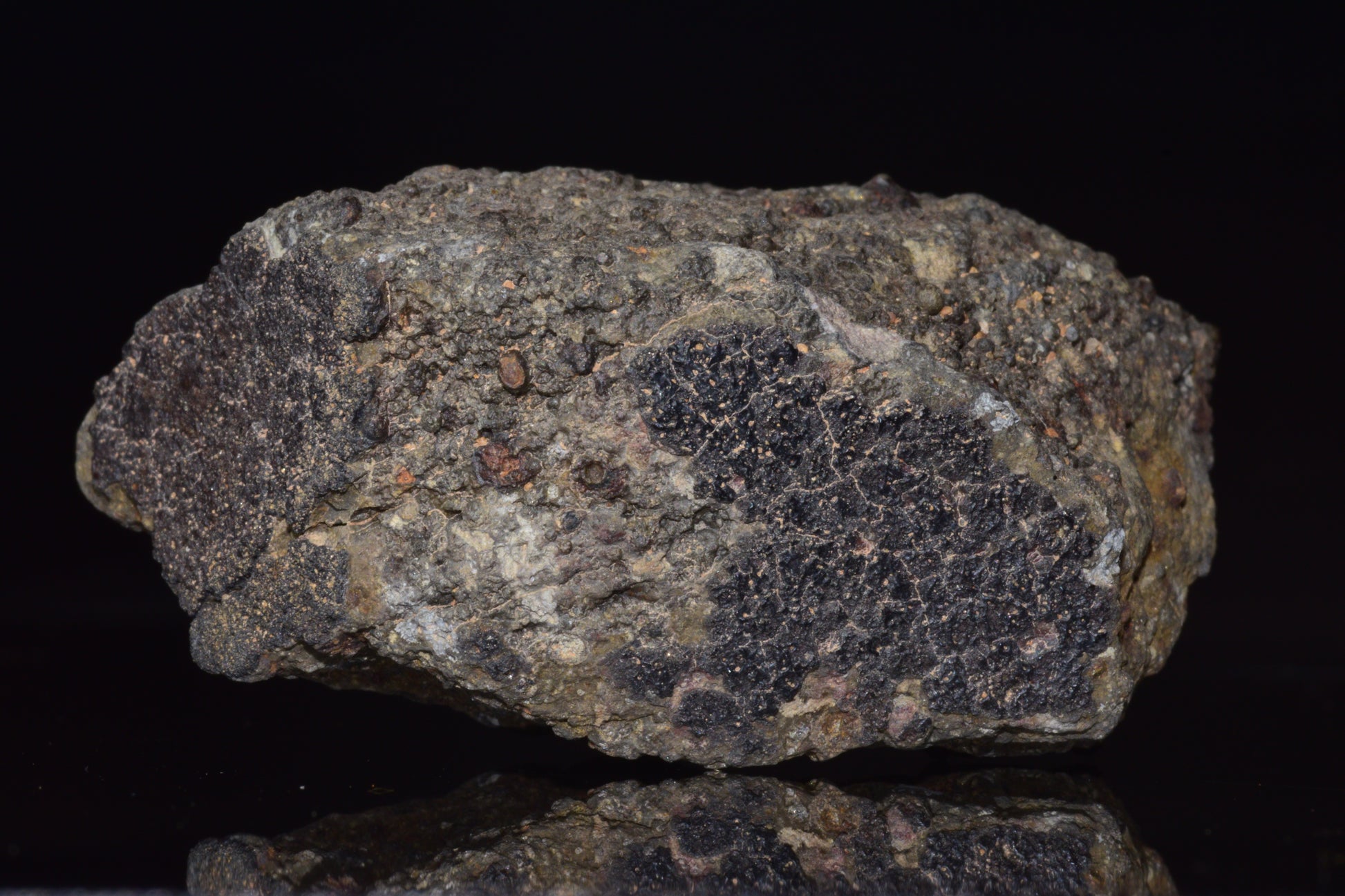 NWA 14004 – CV3 Carbonaceous Chondrite Fragment&nbsp;