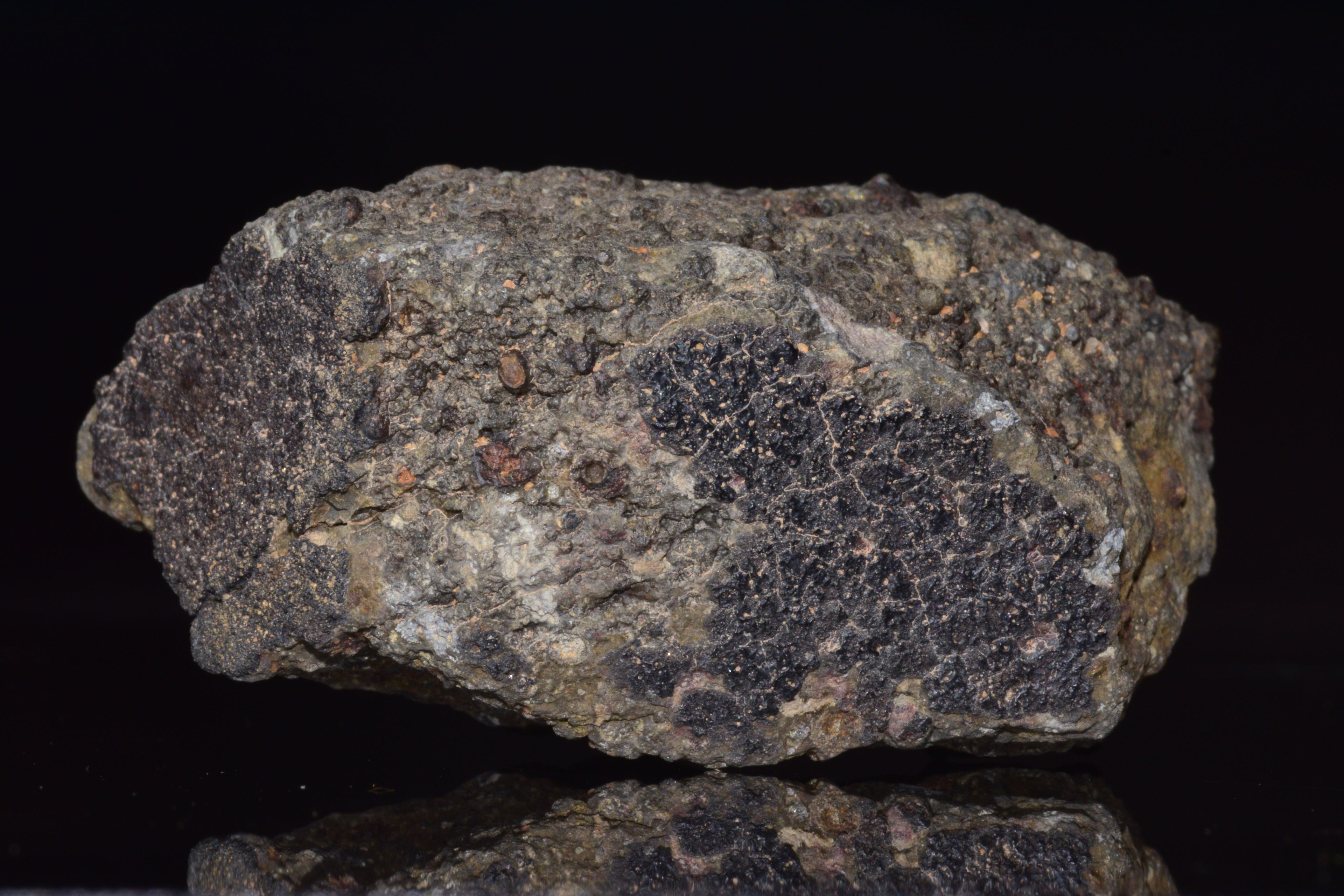 NWA 14004 – CV3 Carbonaceous Chondrite Fragment&nbsp;