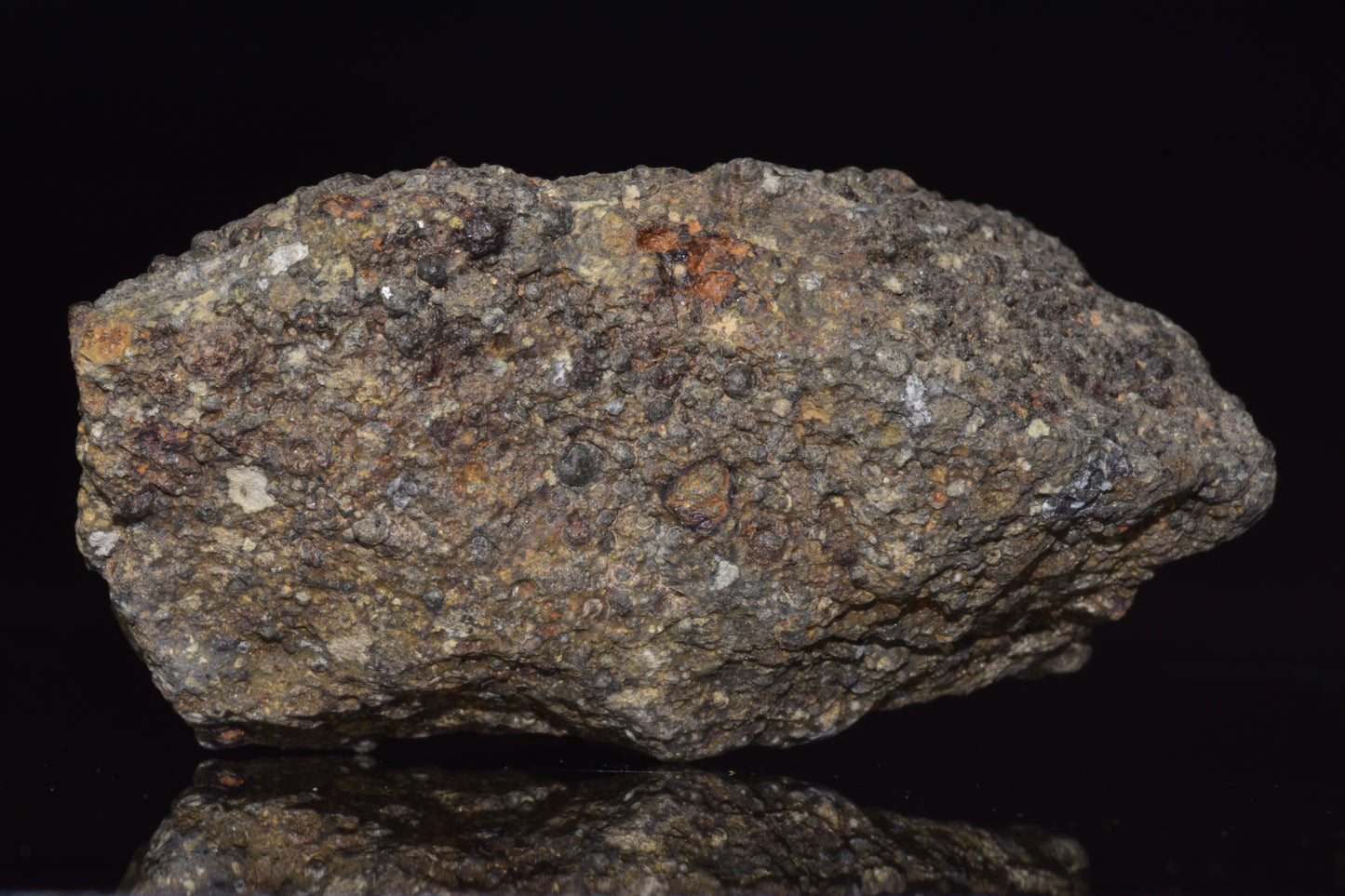 NWA 14004 – CV3 Carbonaceous Chondrite Fragment&nbsp;