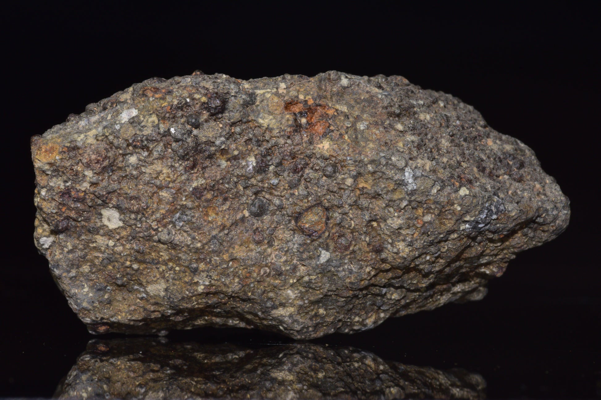 NWA 14004 – CV3 Carbonaceous Chondrite Fragment&nbsp;