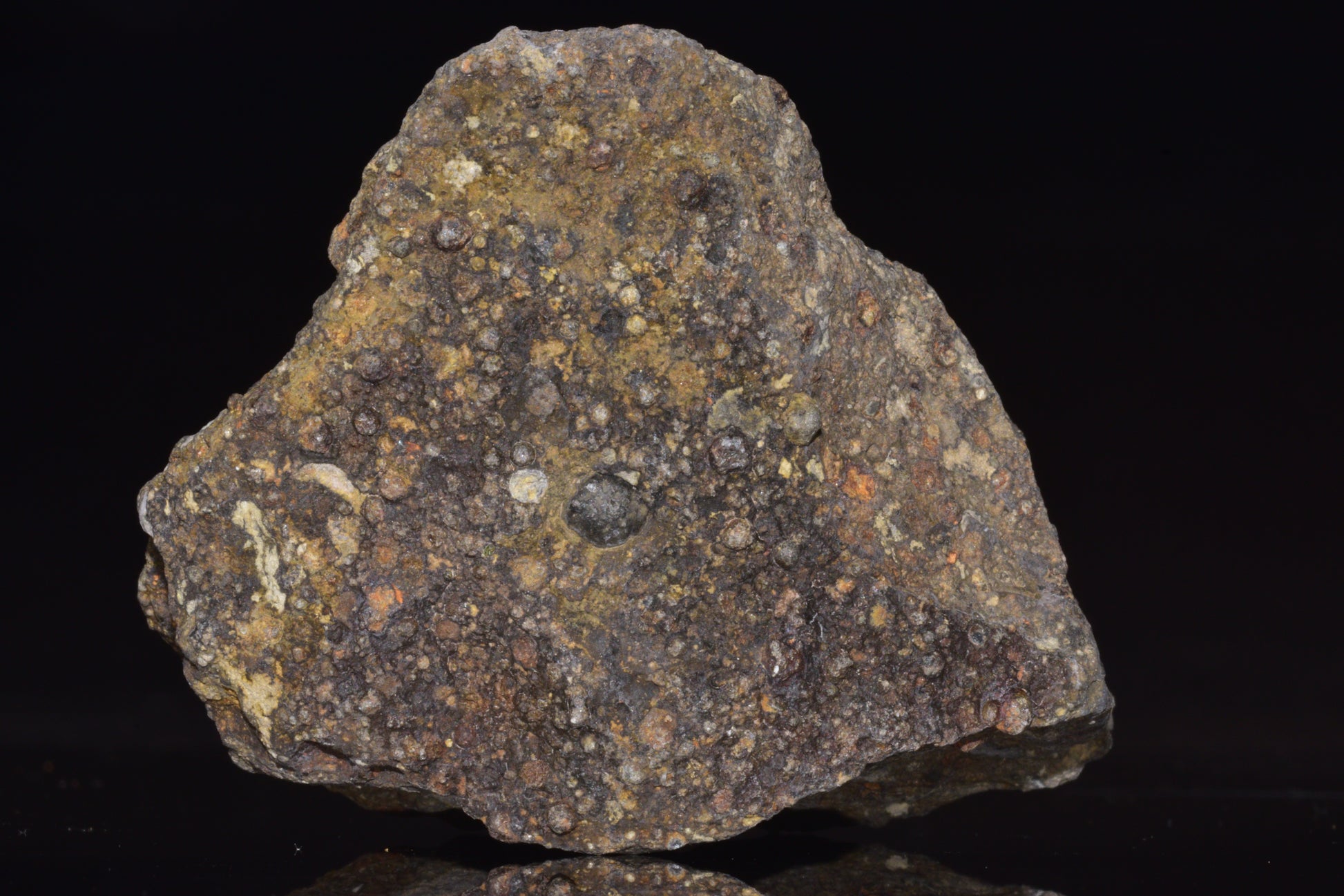 NWA 14004 – CV3 Carbonaceous Chondrite Fragment&nbsp;