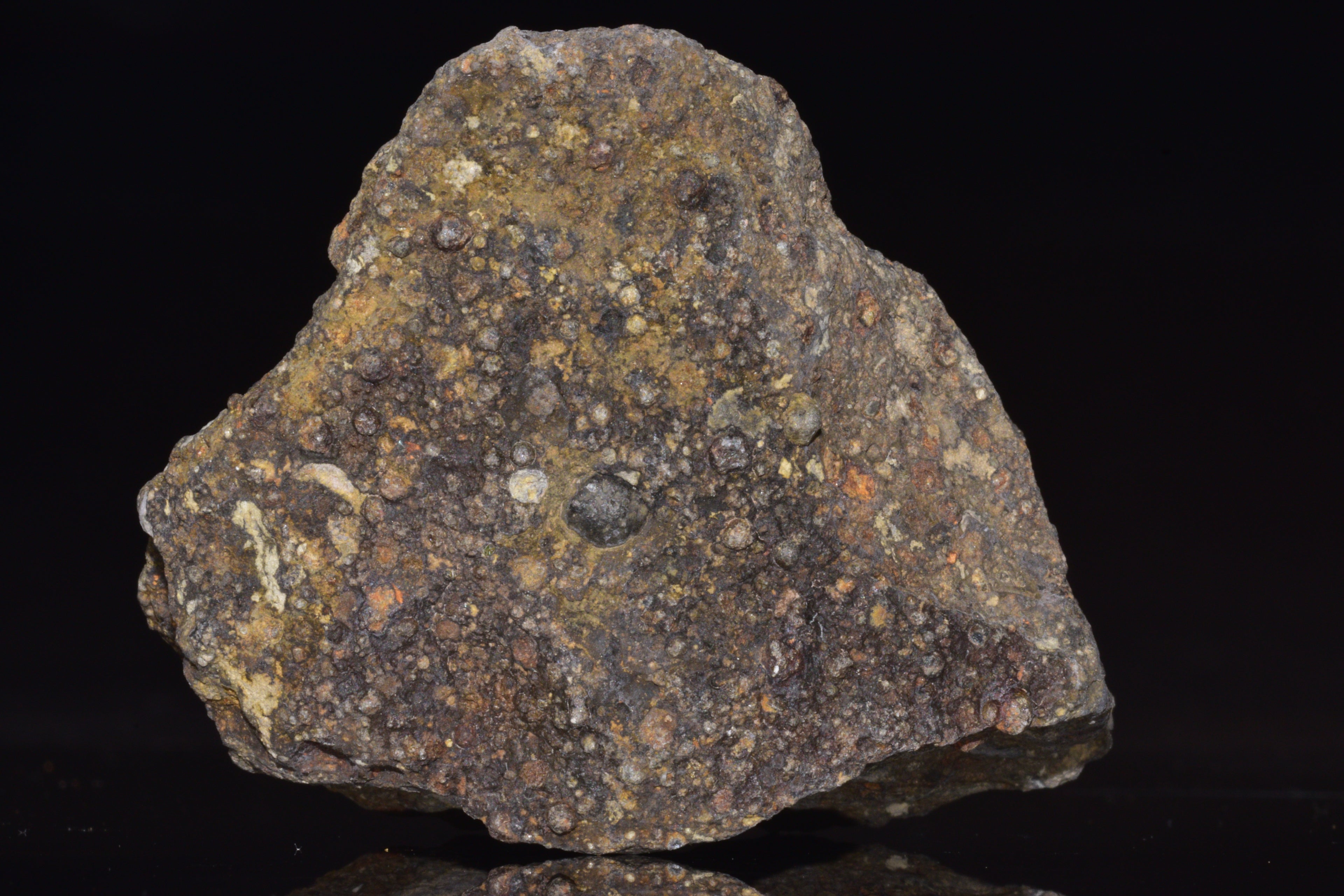 NWA 14004 – CV3 Carbonaceous Chondrite Fragment&nbsp;