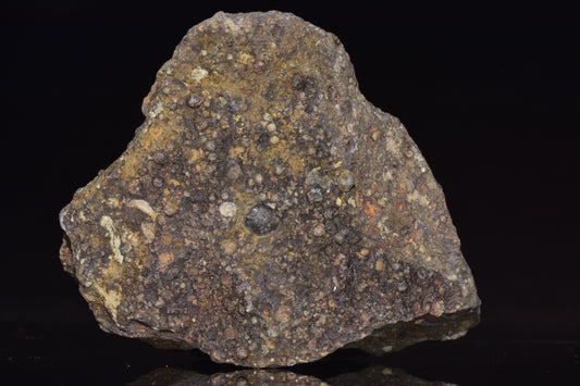 NWA 14004 – CV3 Carbonaceous Chondrite Fragment&nbsp;