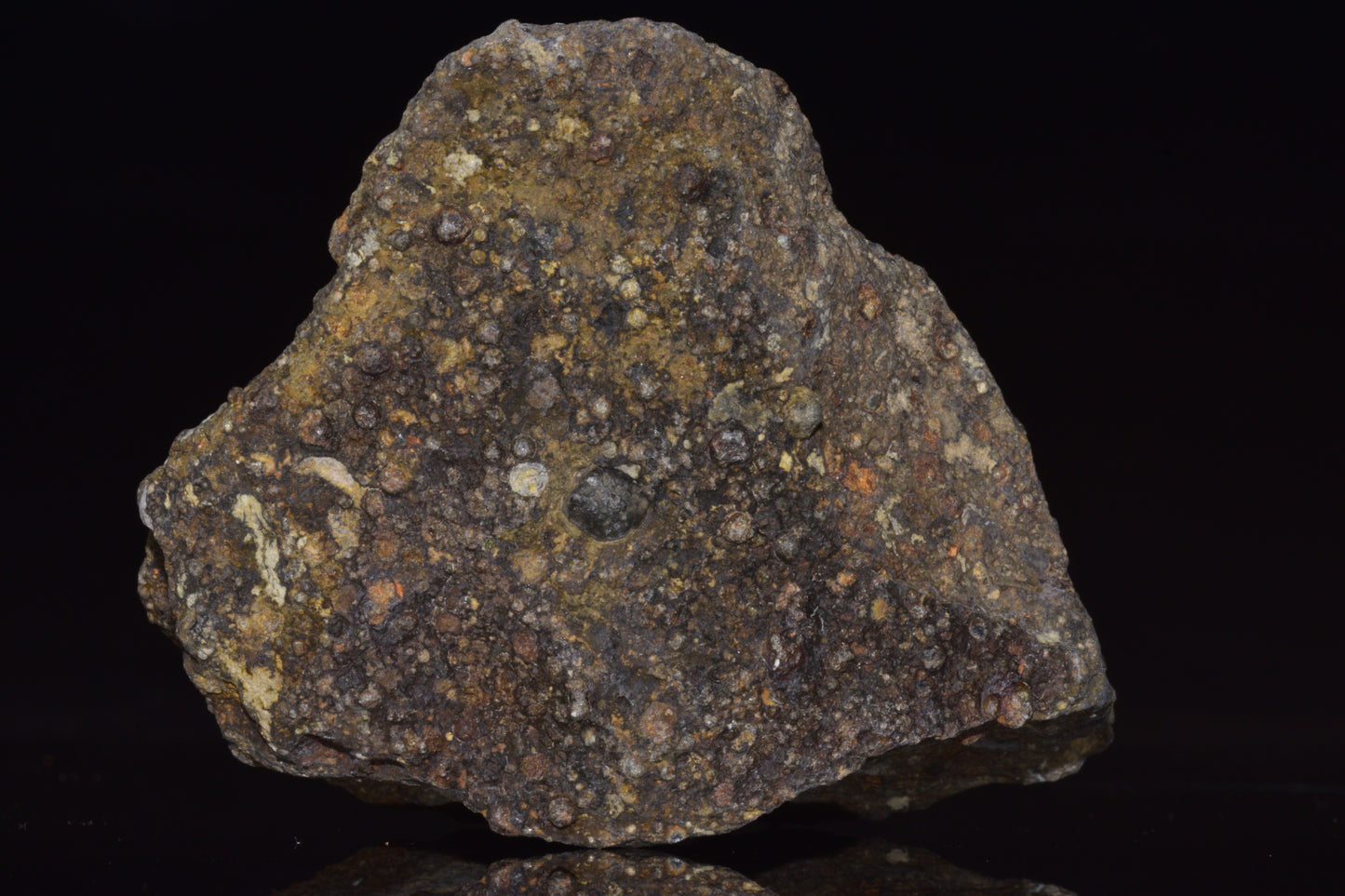 NWA 14004 – CV3 Carbonaceous Chondrite Fragment&nbsp;