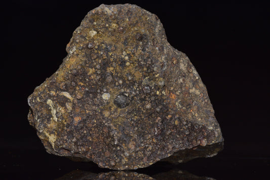Fragment of NWA 14004 CV3 meteorite, a 121.5 g carbonaceous chondrite, from Buy Meteorite, LLC, showing textured surface and mineral details.