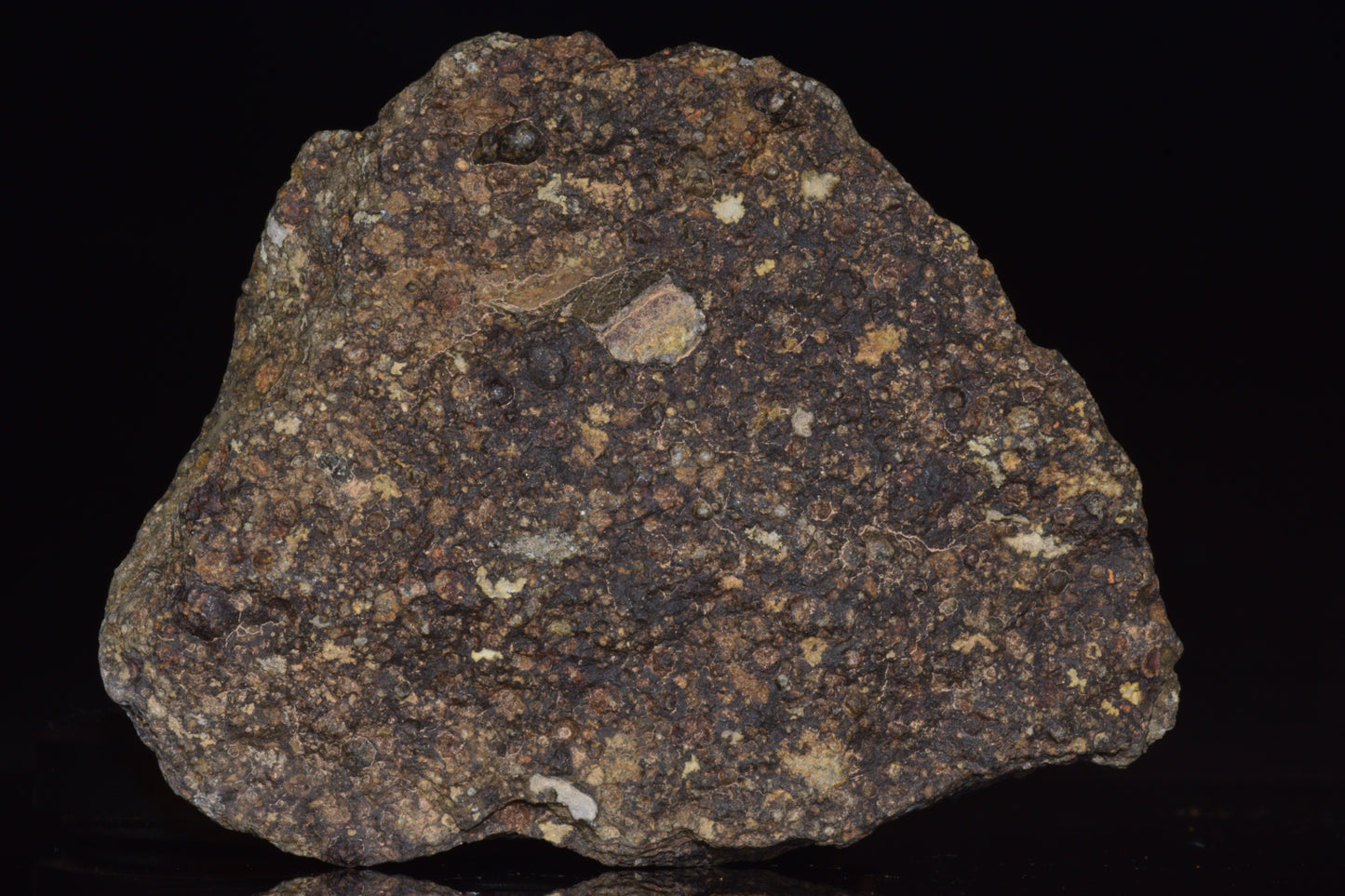 NWA 14004 – CV3 Carbonaceous Chondrite Fragment&nbsp;