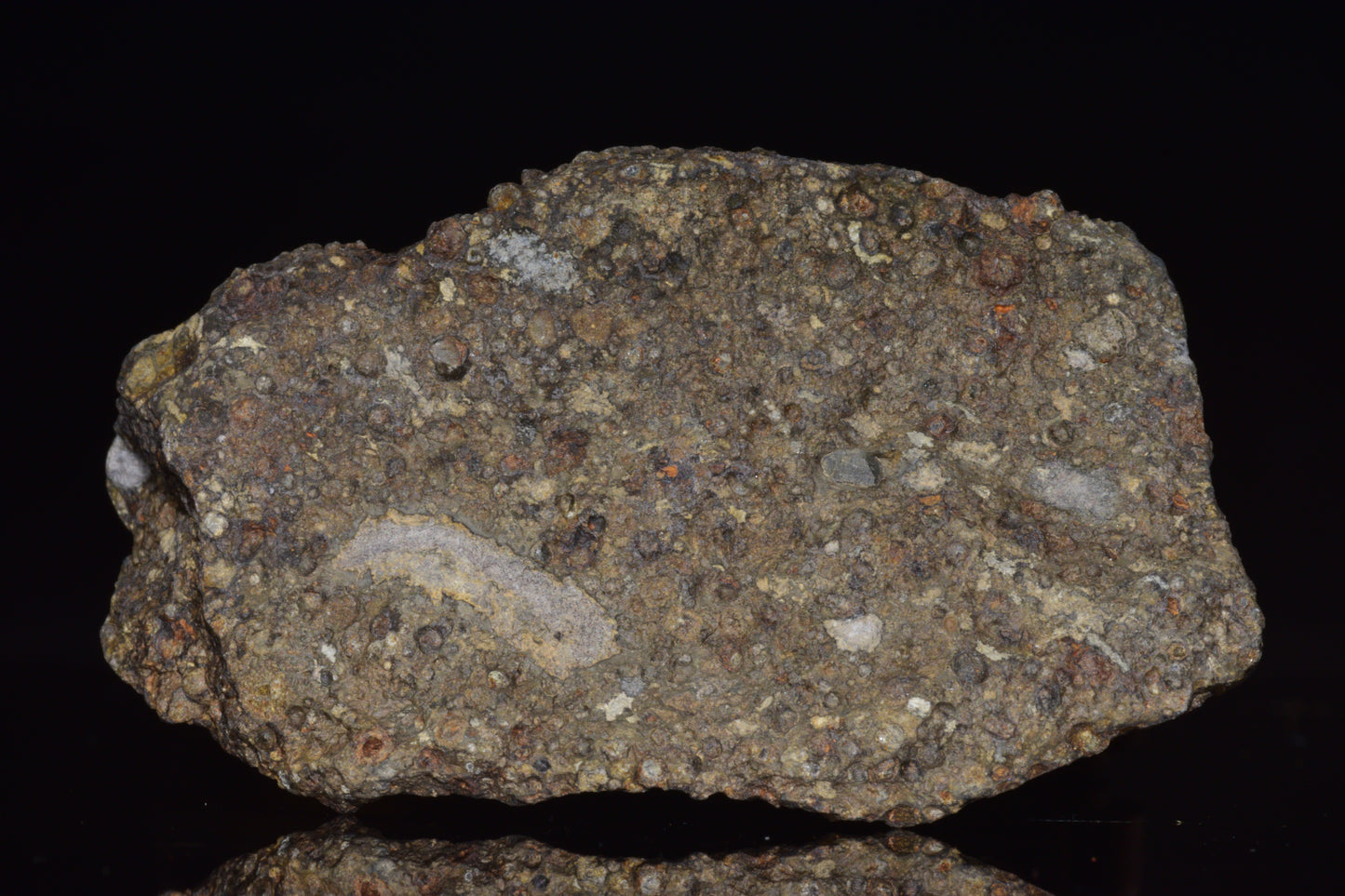 NWA 14004 – CV3 Carbonaceous Chondrite Fragment&nbsp;