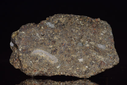 NWA 14004 – CV3 Carbonaceous Chondrite Fragment&nbsp;