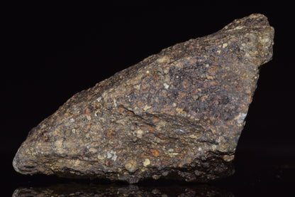 NWA 14004 – CV3 Carbonaceous Chondrite Fragment&nbsp;