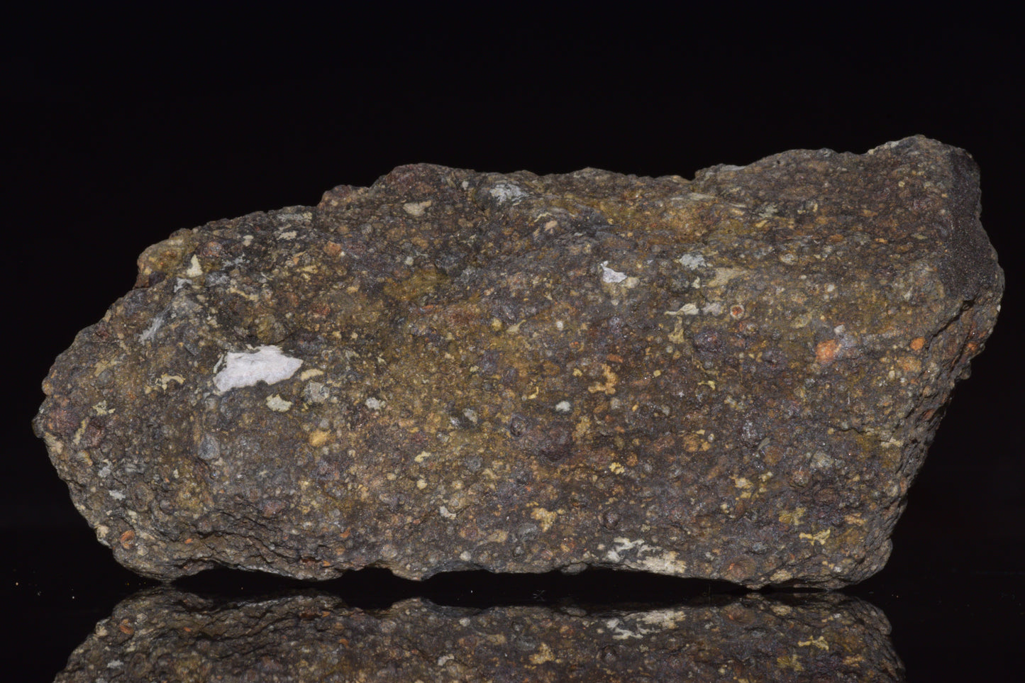 NWA 14004 – CV3 Carbonaceous Chondrite Fragment&nbsp;
