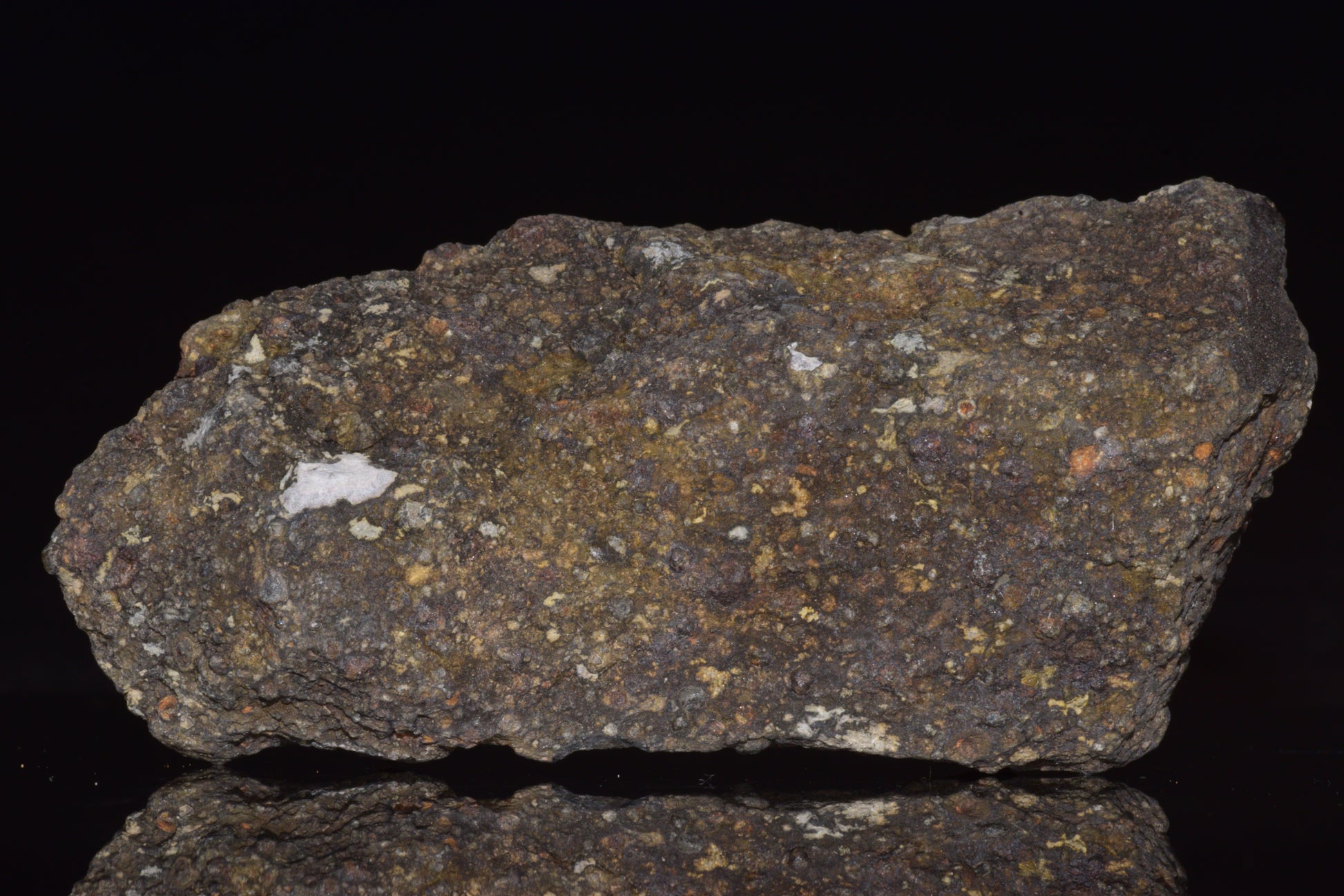 NWA 14004 – CV3 Carbonaceous Chondrite Fragment&nbsp;