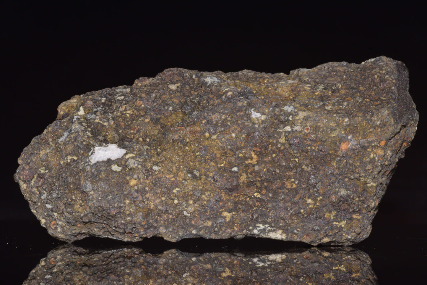 NWA 14004 – CV3 Carbonaceous Chondrite Fragment&nbsp;