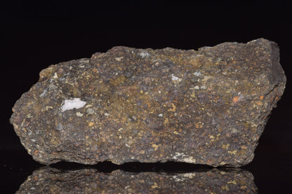 NWA 14004 – CV3 Carbonaceous Chondrite Fragment&nbsp;