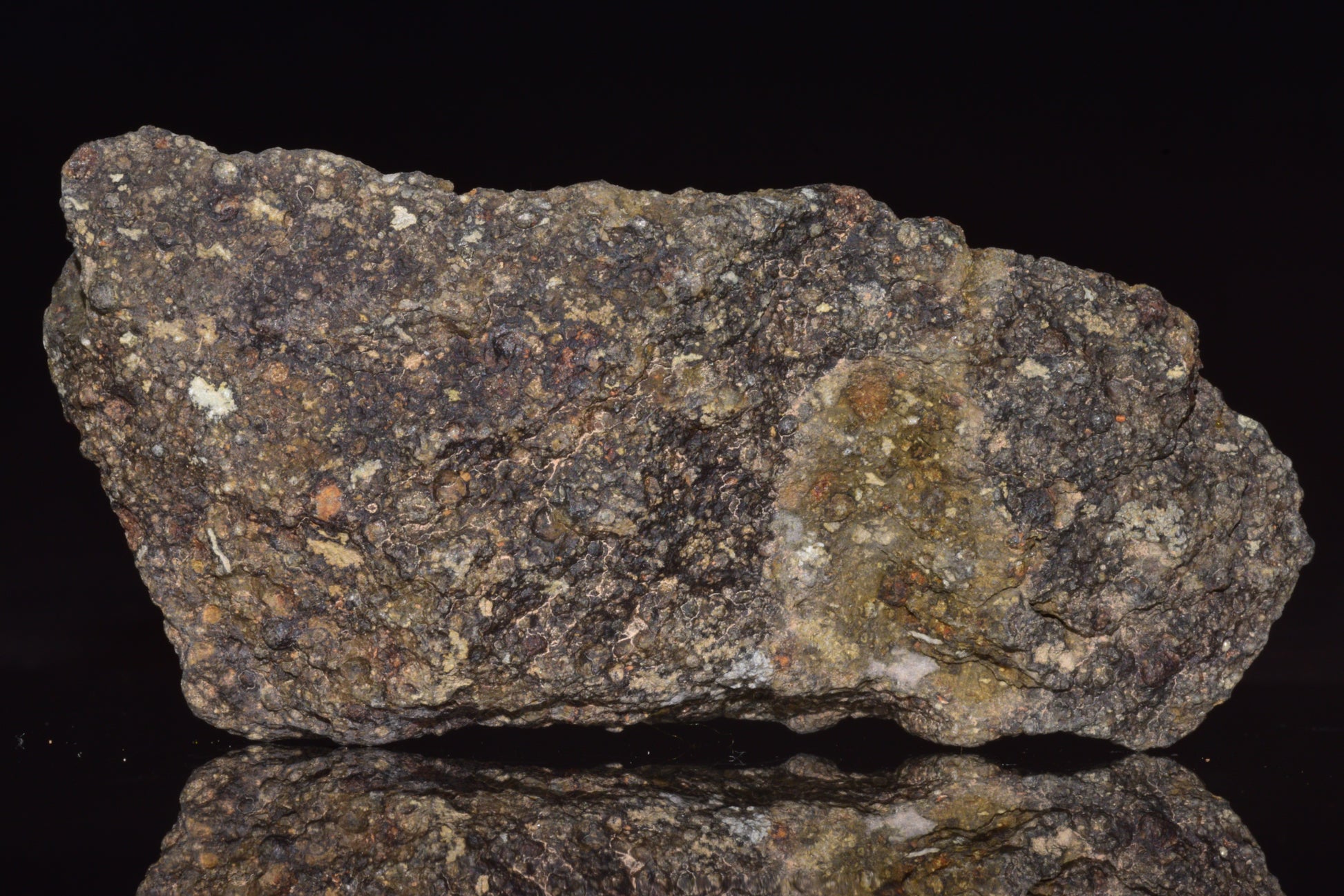 NWA 14004 – CV3 Carbonaceous Chondrite Fragment&nbsp;