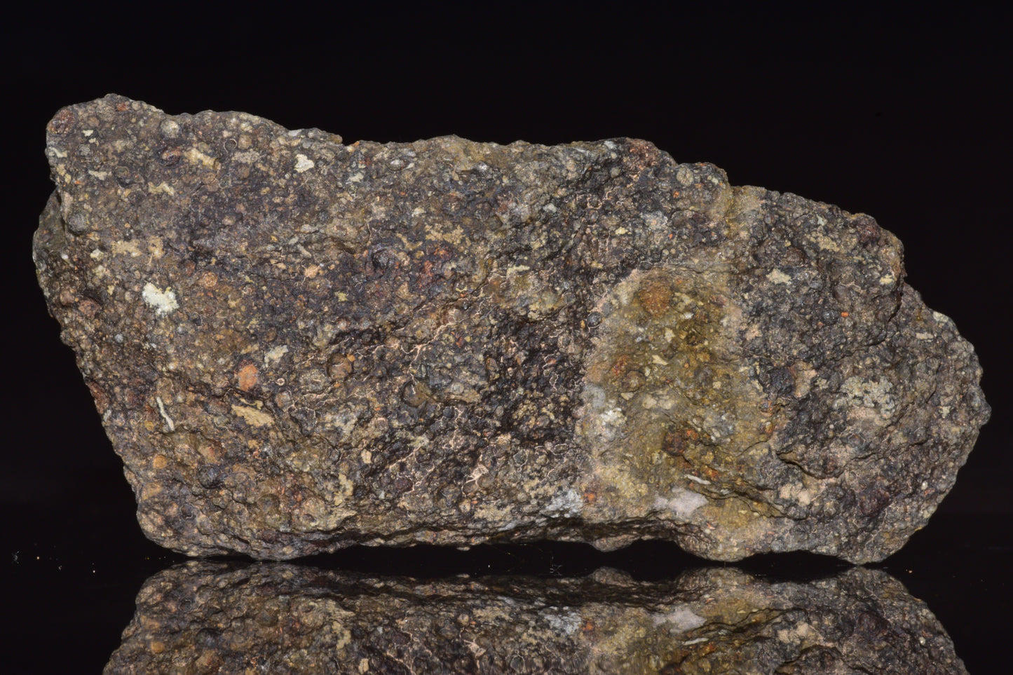 NWA 14004 – CV3 Carbonaceous Chondrite Fragment&nbsp;