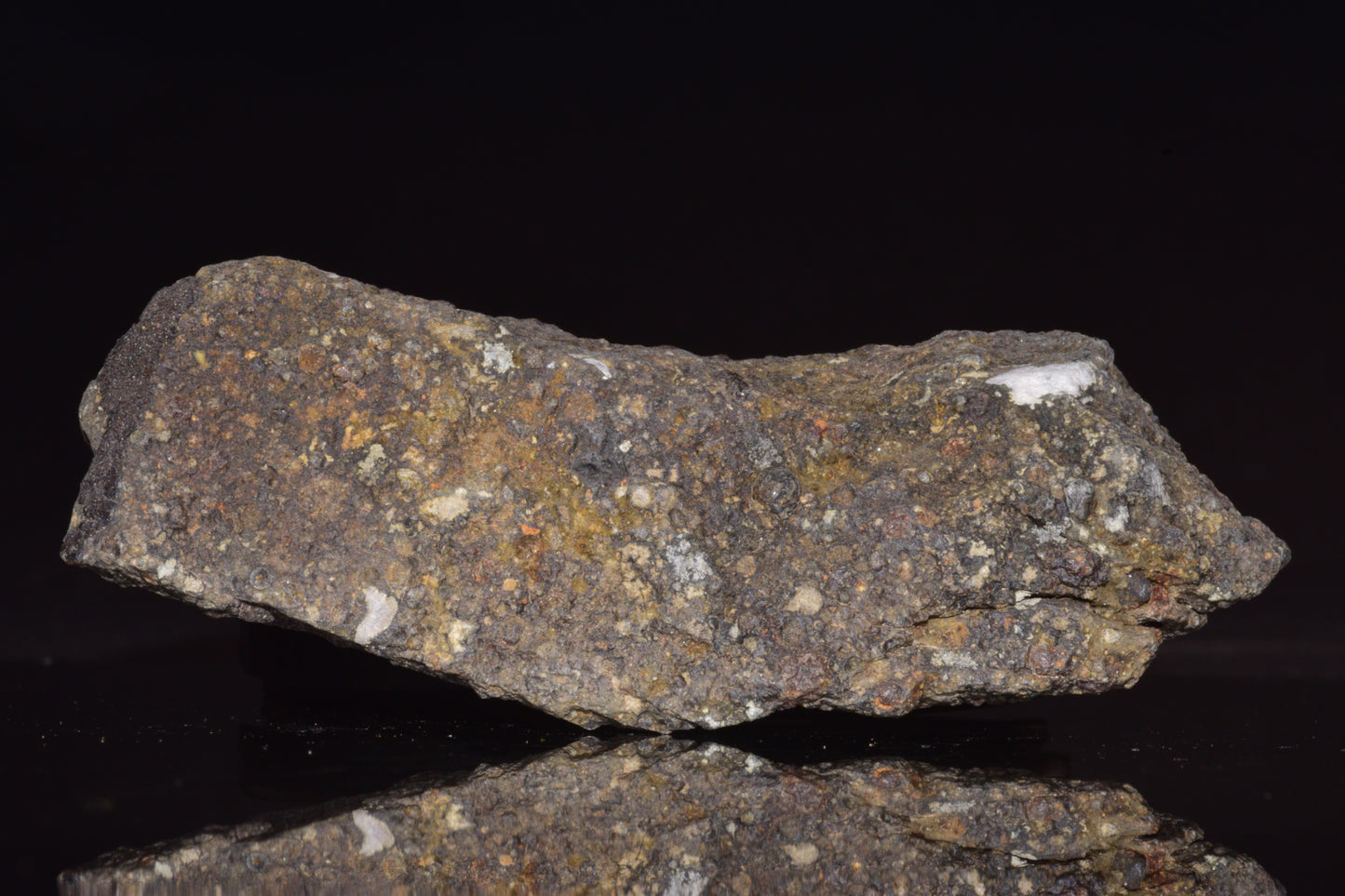 NWA 14004 – CV3 Carbonaceous Chondrite Fragment&nbsp;