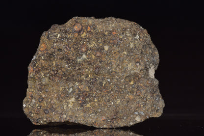 NWA 14004 – CV3 Carbonaceous Chondrite Fragment&nbsp;