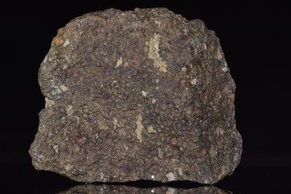 NWA 14004 – CV3 Carbonaceous Chondrite Fragment&nbsp;