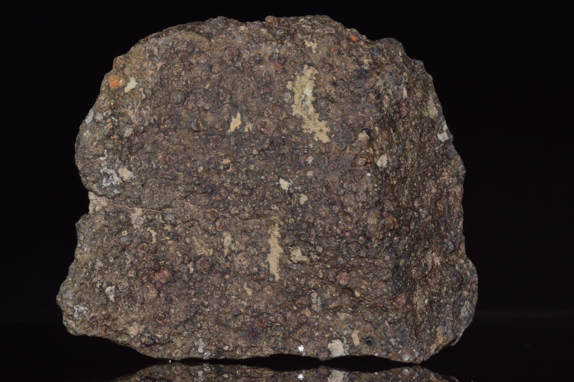 NWA 14004 – CV3 Carbonaceous Chondrite Fragment&nbsp;