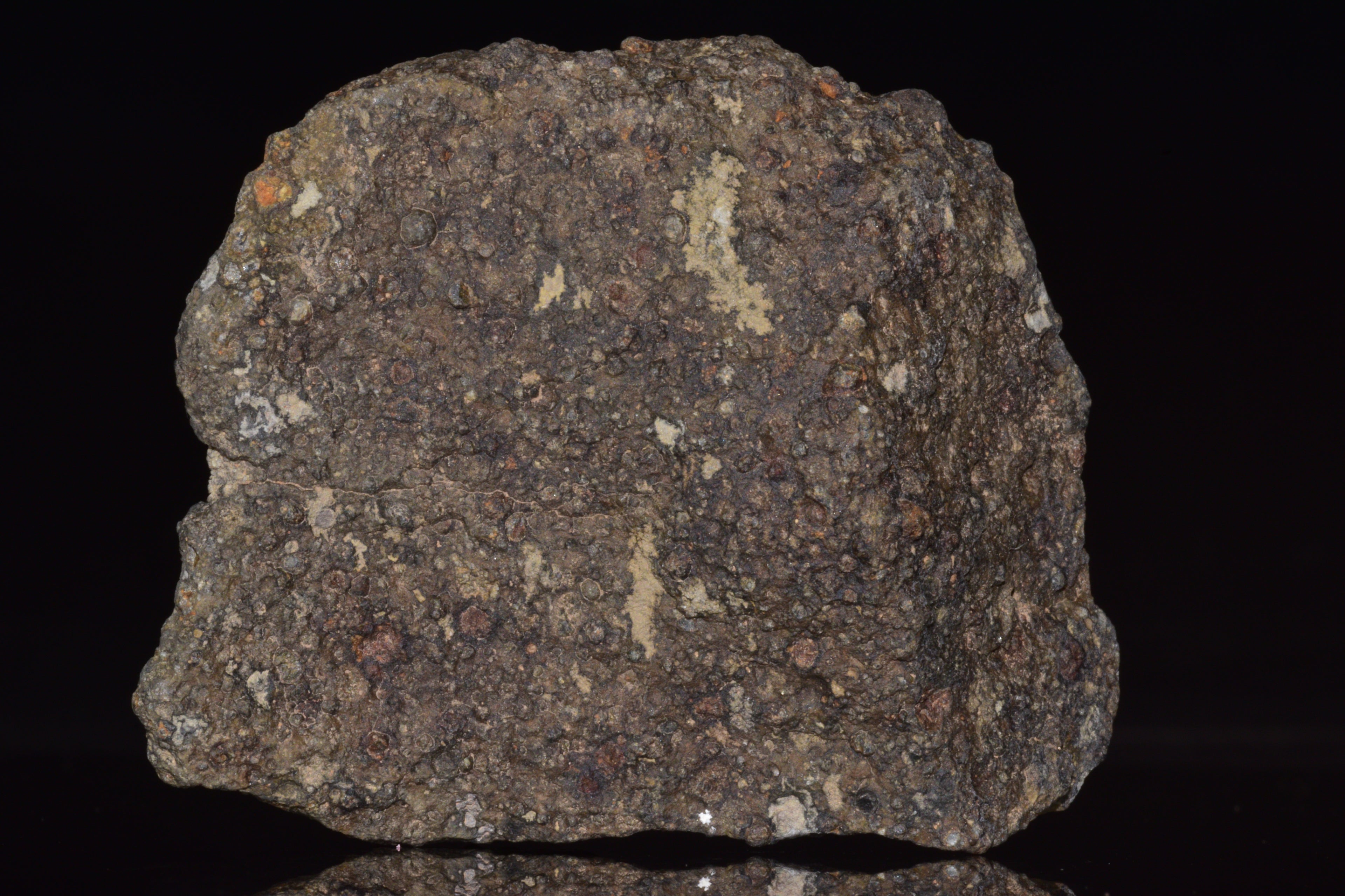 NWA 14004 – CV3 Carbonaceous Chondrite Fragment&nbsp;