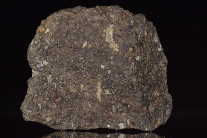 NWA 14004 – CV3 Carbonaceous Chondrite Fragment&nbsp;
